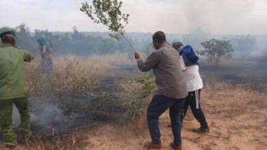 صورة تناها / جهود متعددة لاخماد حريق “عدلت الخلوة”