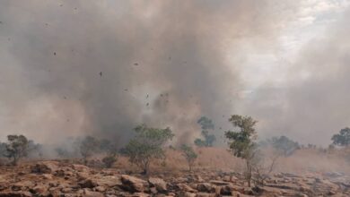 صورة كيفه / إحالة تسعة أشخاص إلى السجن بعد تسببهم في اشعال الحرائق