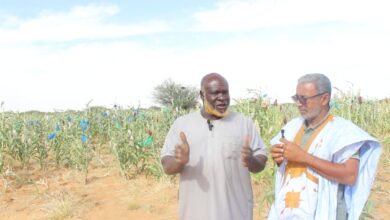 صورة كيفه / رئيس منظة للتبرع بالدم يطالب الجهات المعنية بدعم المتبرعين