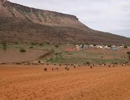 صورة ساكنة حاضرة سد أهل أحمد طالب يوجهون رسالة شكر وإمتنان لرئيس الجمهورية السيد محمد ولد الشيخ الغزواني