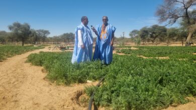 صورة كيفه / بعثة من اتحاد واحات لعصابه تزور الرابطات وتوفر اماكن لشراء وتخزين المنتوج بالشراكة مع خصوصيين