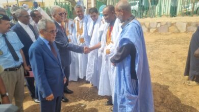 صورة كيفه/ الزراعة في الولاية الواقع والفرص المتاحة / أحمد ولد الناده