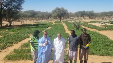 صورة تثمينا لدور المزارعين وكالة كيفه أون لاين تطلق رحلة انتاجية تزور خلالها المزارعين في بلديات كيفه وساني ولكران وكامور