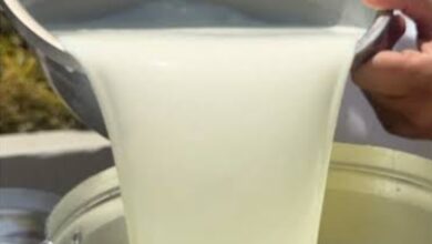 صورة كيفه / تجارة بيع الالبان بين المزايا الاقتصاية والمخاطر الصحية /أ حمد الناده