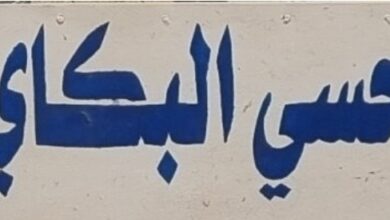 صورة إحسي البكاي / الجالية في الولايات المتحدة الامريكية تساهم بشكل كبير في دعم التنمية المحلية