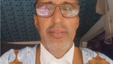 صورة المقاربة العقلية في تقرير العقائد عند الأشاعرة: ردٌّ على منتقديها/ الاستاذ الفقيه محمد الصحة ديدي