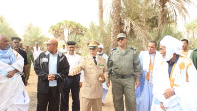 صورة إحسي البكاي / والي الولاية يشرف على إطلاق التسييج البيولوجي المنفذ من طرف وزارة البيئة