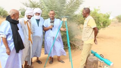 صورة العوجه /  اتحاد واحات لعصابه يطلق دورة تكوينية لصالح مزارعي بعض الرابطات الواحاتية