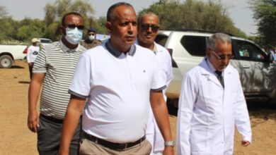 صورة لعصابه / المندوب الجهوي لوزارة التنمية الحيوانية ينفي وجود أي وباء يصيب الأبقار في ولاية لعصابه